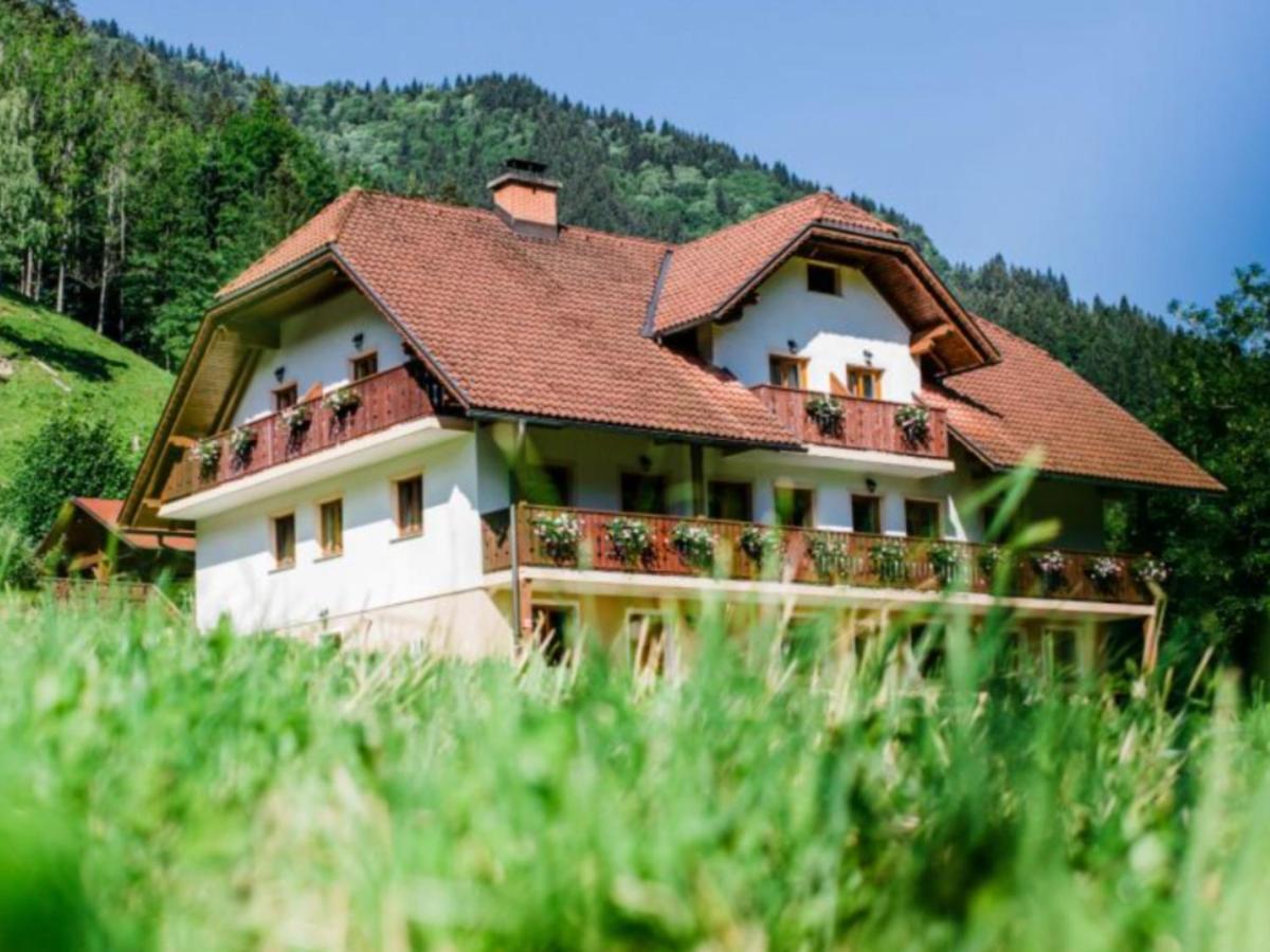 Na Logu - Farm Stay Ambroz Gregorc Солчава Экстерьер фото