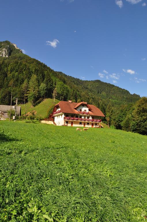Na Logu - Farm Stay Ambroz Gregorc Солчава Экстерьер фото